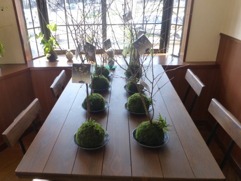 cafeshuhe160315-2