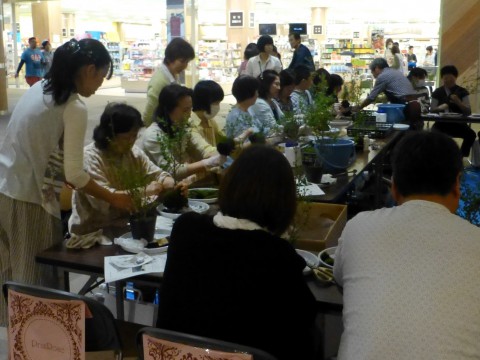 kws042303