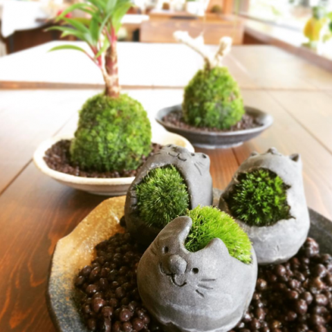 cafeschuhe_activenote_instagram