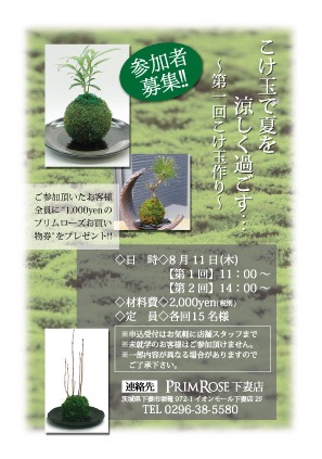 kokedama_ws_160803