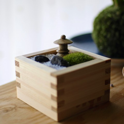 苔むすお城「モッスル」