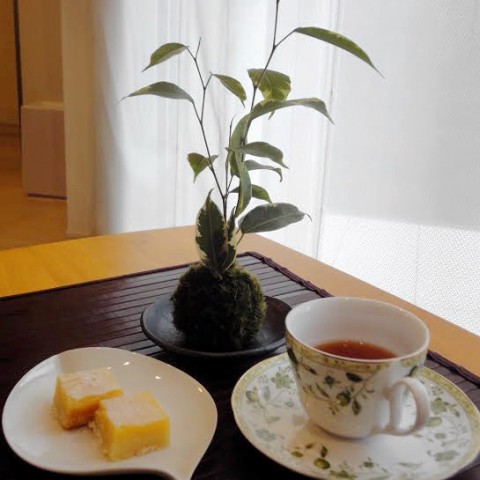 mosscafe1610
