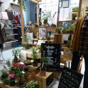 PrimRose菖蒲店