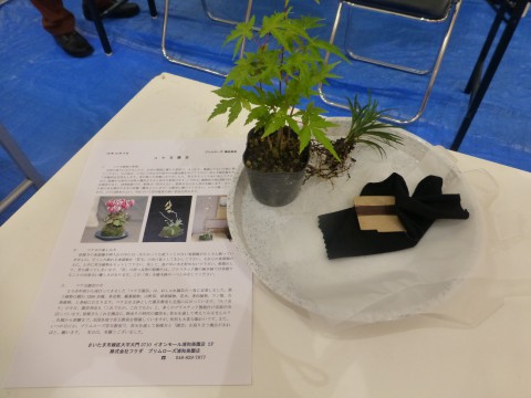 p1010727