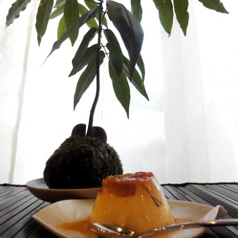 ジャックと豆の木とりんごのプリン