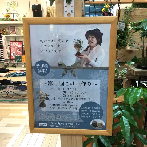 緑の苔玉WS in 茅ヶ崎