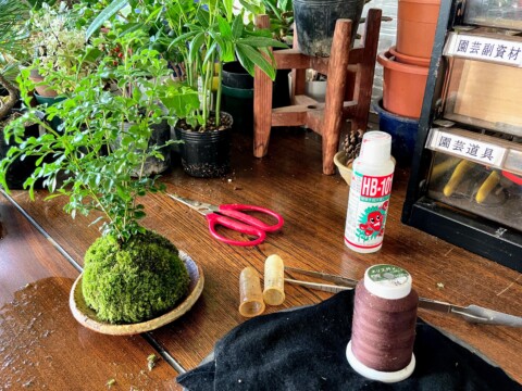 部屋の様子